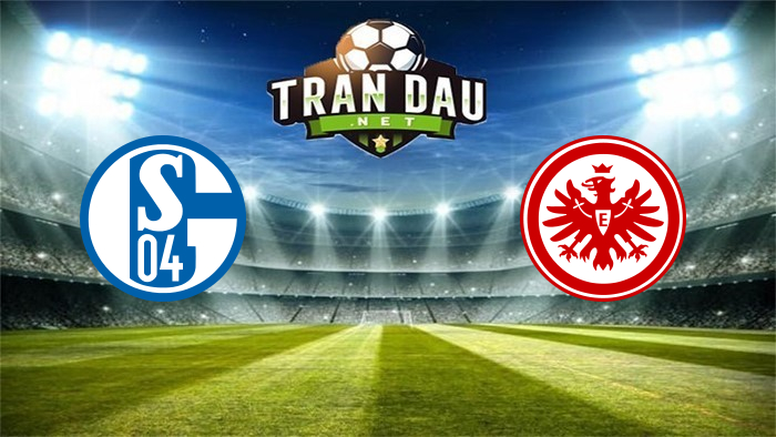 Video Clip Highlights: Schalke 04 vs Eintracht Frankfurt- BUNDESLIGA 22-23