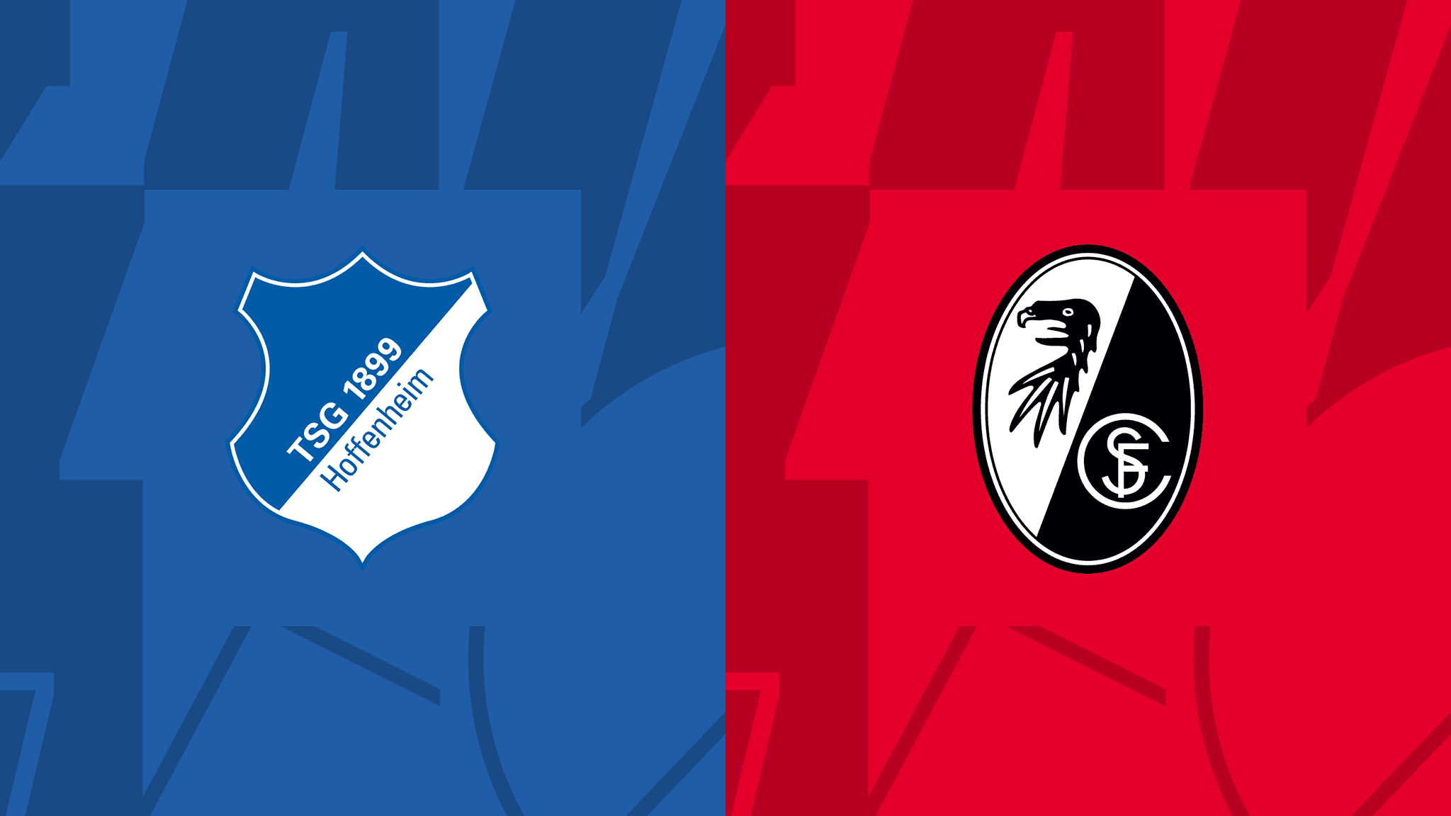 Video Clip Highlights: Hoffenheim vs Freiburg- BUNDESLIGA 23-24