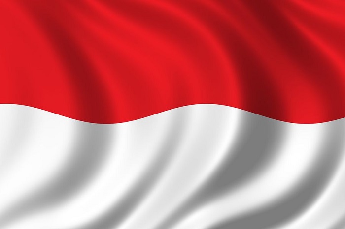 Đội Tuyển Bóng Đá Quốc Gia Indonesia Tại AFF Cup 2022