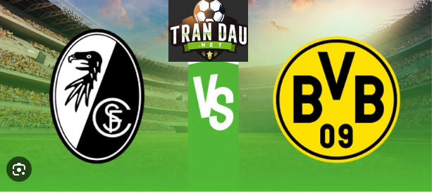 Video Clip Highlights: Freiburg vs Dortmund- BUNDESLIGA 23-24