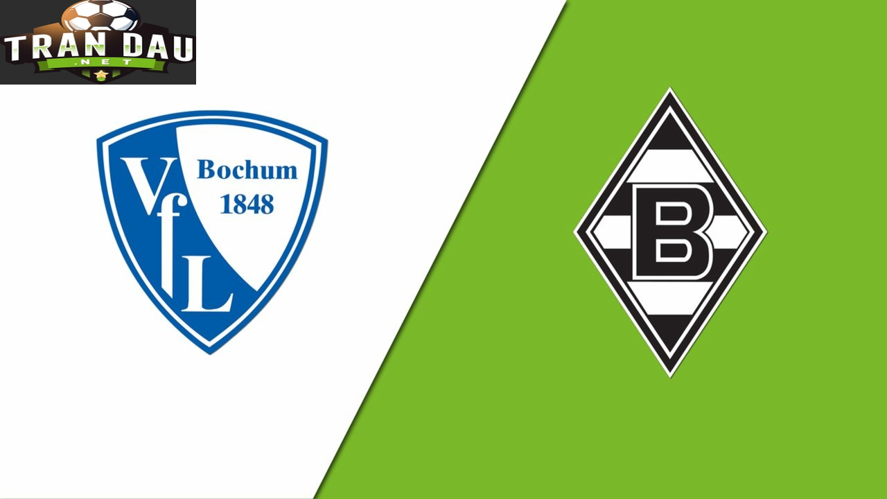 Video Clip Highlights: Bochum vs B. Monchengladbach- BUNDESLIGA 23-24